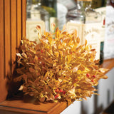 LOVAGE HALF ORB (Yellow/Orange)