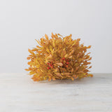 LOVAGE HALF ORB (Yellow/Orange)
