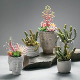Mini Potted Succulent