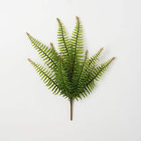 Billowing Green Fern Bush