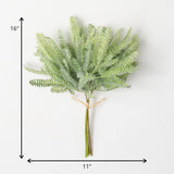 Mini Mint Green Fern Bush