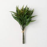 Seeded Blade Eucalyptus Bush