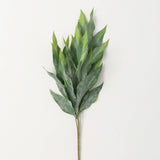 Frosted Green Stem