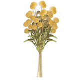 13 Inch Pompom Pick w/Green Eva Leaves Bundle (6 Stems)