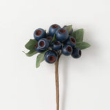 Blue Pod Berry Pick
