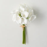 LUSH WHITE CALLA LILY BUNCH