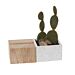Aravalli Phone Stand Planter