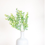 13.4″ EUCALYPTUS BUNCH