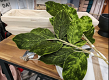 Velvet Magnolia Leaf Spray 28" Green (XM23)