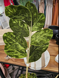 Velvet Magnolia Leaf Spray 28" Green (XM23)
