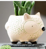 Kitschy Hedgehog Planter