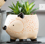 Kitschy Hedgehog Planter