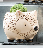 Kitschy Hedgehog Planter