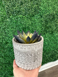 Grey Textured Terracotta Planters