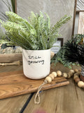 Honesty Pot Collection