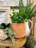 Honesty Pot Collection