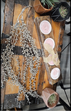 Metallic Trailing Seed Vine 34"  Champagne (XM23)