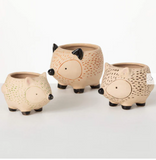 Kitschy Hedgehog Planter