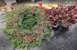 Cypress Wreath With Tiny Berries Green/Red (XM23)