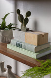 Aravalli Phone Stand Planter