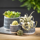 Black and White Textured Pot
