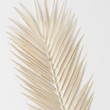 OVERSIZED CREAM FERN SPRAY