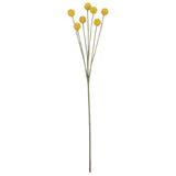 BILLY BUTTON STEM Yellow