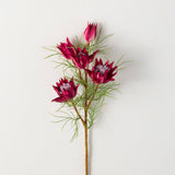 Mini Protea Spray