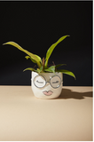 "GRACE" FAB POT