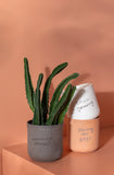 Honesty Pot Collection