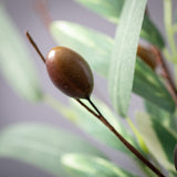 RUSTIC OLIVE LEAF PICK