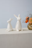 Patch Bunny Collection