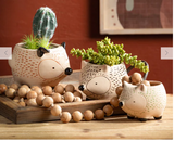 Kitschy Hedgehog Planter