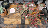 Cedar and Berry Spray 28" Green/Red  (XM23)