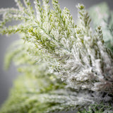 NORFOLK ISLAND CEDAR SPRAY Large