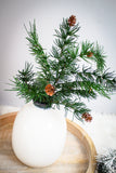 Dark Green Pine with Cones