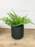 Textured Planter | Beacon