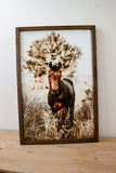 Horse Farm Signs