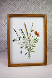 Summer Wild Flower Collection