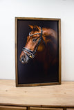 Horse Farm Signs