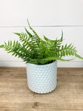 Textured Planter | Beacon