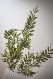 Snowy Leaf & Berry Stem