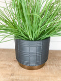 Grass Spray