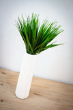 Small Grass Bush