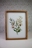 Summer Wild Flower Collection
