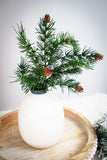 Dark Green Pine with Cones
