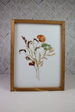 Summer Wild Flower Collection