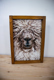 Alpaca Llama Squish Face