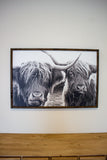 Cypress & Orfull Highland Cow