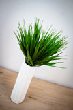 Small Grass Bush